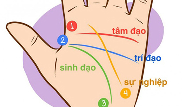 Rất Hay: Xem chỉ tay đường hôn nhân trên bàn tay nam, nữ biết tương lai