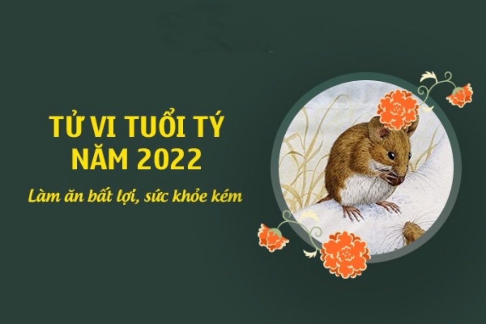 Tuổi Tý Năm 2022: Tử Vi Công Danh