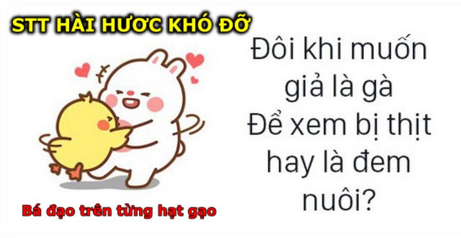 Có những đứa miệng thì than ế không ai tán nhưng có ai tiếp cận là lại co  chân bỏ chạy  Góc tâm tình  Việt Giải Trí