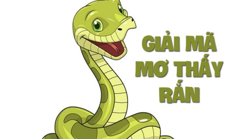Mơ Thấy Rắn Là Điềm Gì - Khám Phá Ý Nghĩa Bí Ẩn Của Những Giấc Mơ