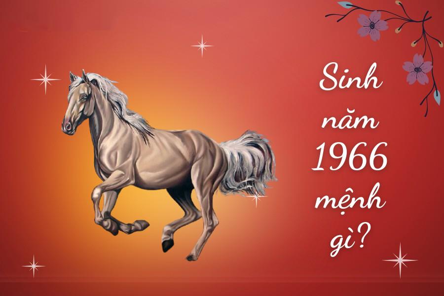 Những Điểm lưu ý nổi trội của những người tuổi hạc Ngọ sinh vào năm 1966?
