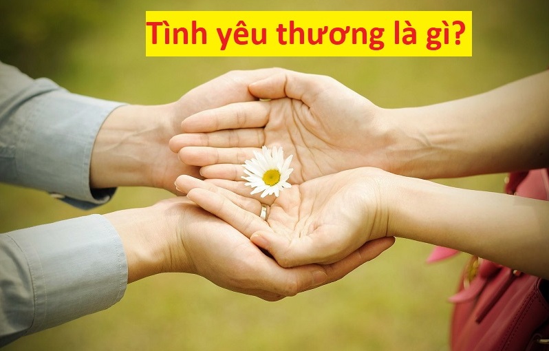 Tình yêu thương là gì? Biểu hiện và ý nghĩa tình yêu thương