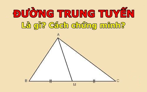 Đường trung tuyến là gì? Cách minh chứng đàng trung tuyến