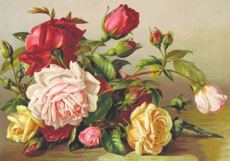 Làm thế nào để vẽ bình hoa hồng đẹp?