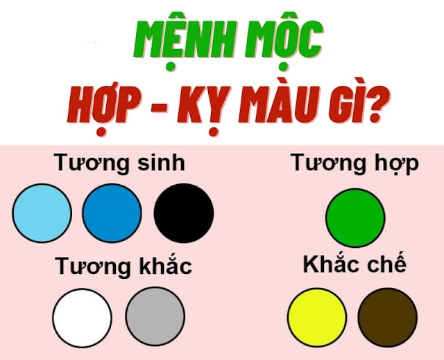 người mệnh mộc hợp với màu gì