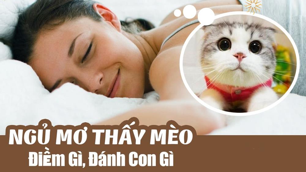 Con mèo số mấy? Nằm mơ thấy mèo đánh số mấy