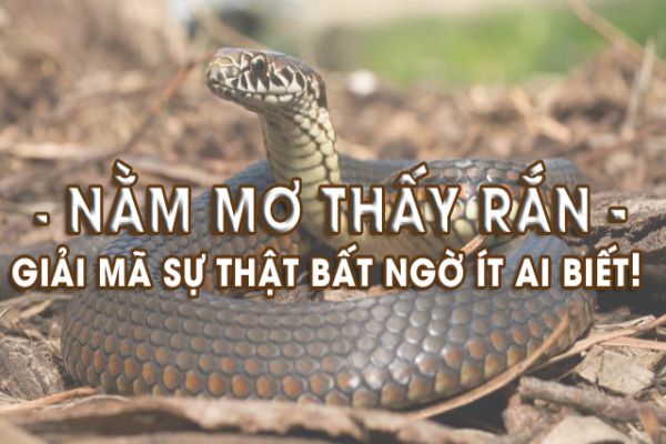 mơ thấy rắn cắn tay