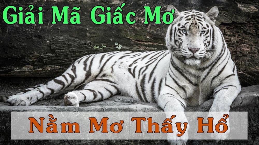 Nằm Mơ Thấy Hổ (Cọp) Điềm Gì, Lành Hay Dữ, Đánh Con Gì?