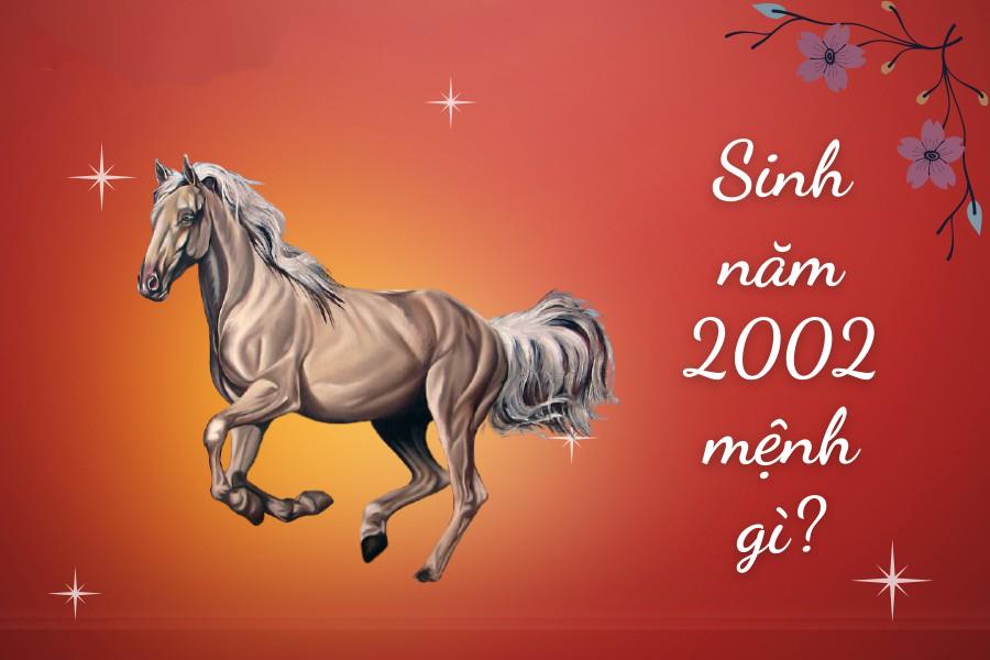 Sinh năm 2002 mệnh gì Tuổi Nhâm Ngọ hợp tuổi nào Màu gì