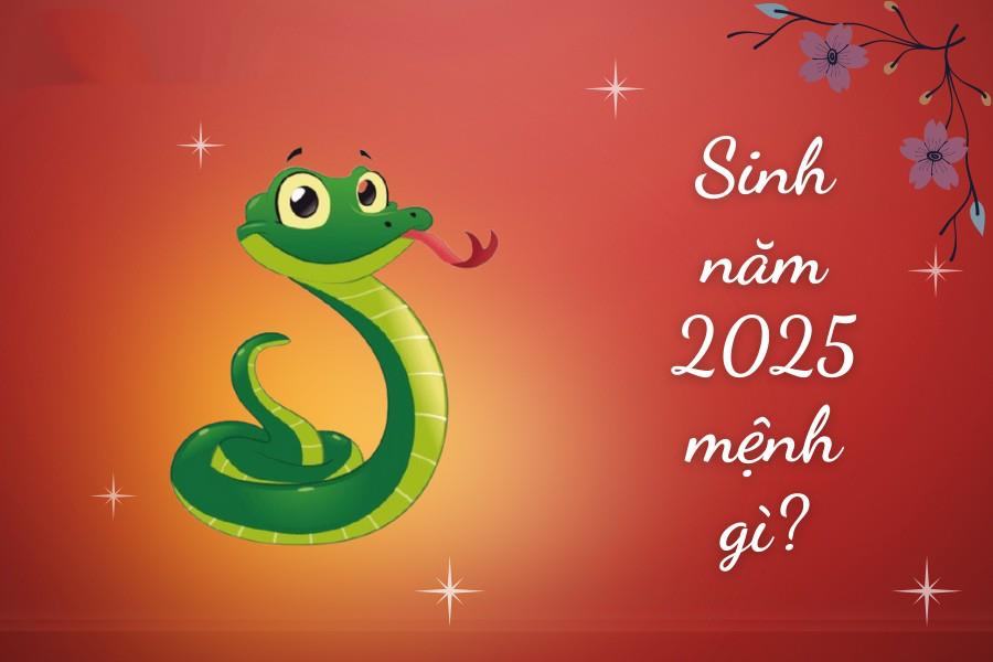 Sinh năm 2025 mệnh gì Tuổi Ất Tỵ Hợp tuổi nào Màu gì