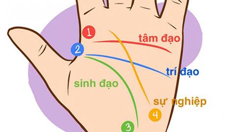 Cách xem bói chỉ tay nữ giới đơn giản tại nhà năm 2022