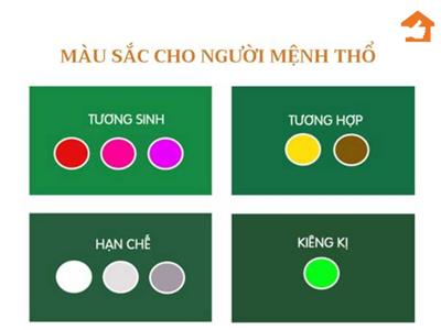 Mệnh thổ hợp màu và cây gì?