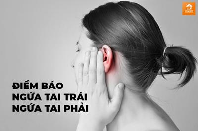 [2024] Điềm báo Ngứa Tai Trái ở Nam & Nữ theo khung giờ chính xác