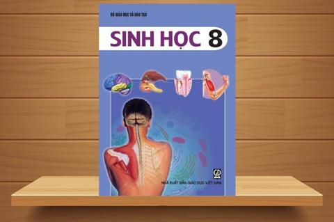 [Ebook] TẢI Sách Giáo Khoa Sinh Học Lớp 8 PDF, Đọc Online (FULL)