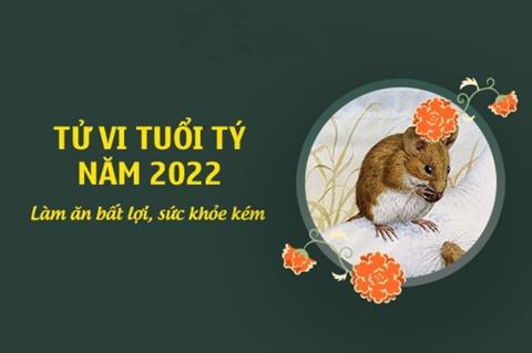 Tử vi tuổi Tý năm 2023: Sự nghiệp - Sức khỏe - Tình duyên