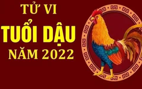 Tử vi Tuổi Dậu 2022: Công việc, tình duyên & sức khỏe