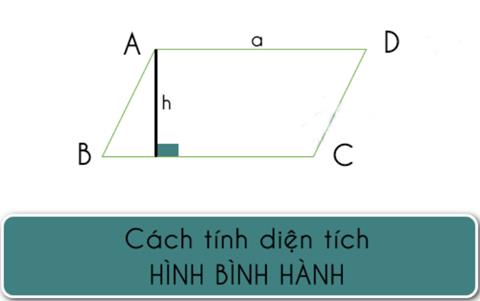 Công thức Diện tích hình Bình Hành & Cách tính đơn giản (Mới 2024)