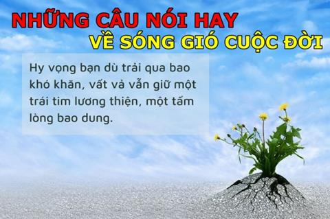 1001+ Những câu nói hay về sóng gió cuộc đời thấm thía nhất