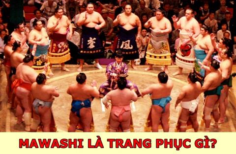 Mawashi là trang phục gì? Phân loại Mawashi trong Sumo