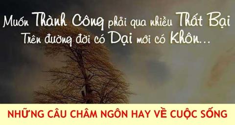 9999+ Những câu châm ngôn hay về cuộc sống đáng suy ngẫm