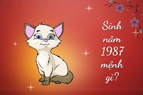 Sinh năm 1987 mệnh gì? Tuổi Đinh Mão hợp tuổi nào & Màu gì?