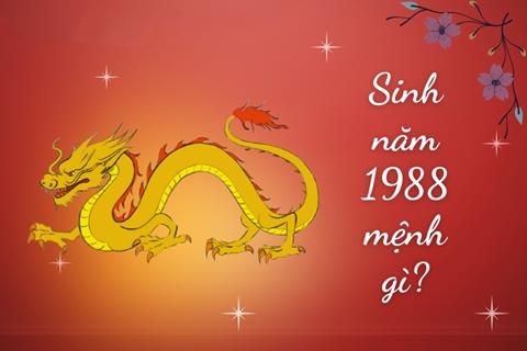 Sinh năm 1988 mệnh gì? Tuổi Mậu Thìn hợp tuổi nào & Màu gì?