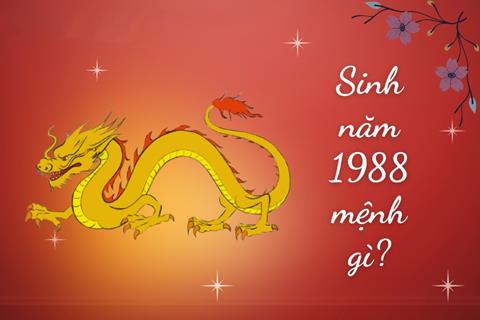 Sinh năm 1988 mệnh gì? Tuổi Mậu Thìn hợp tuổi nào & Màu gì?