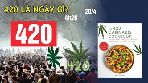 420 là ngày gì? Nguồn gốc & ý nghĩa đặc biệt của con số 420