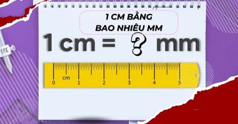 1cm bằng bao nhiêu mm? Bảng quy đổi cm sang km, m, dm, mm, inches, ft