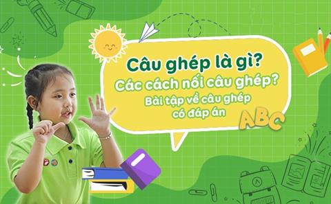 Câu ghép là gì? Cách sử dụng chính xác theo tiếng Việt đúng chuẩn