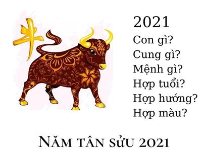 Năm 2021 là năm con gì và mệnh gì? Tính cách & sự nghiệp