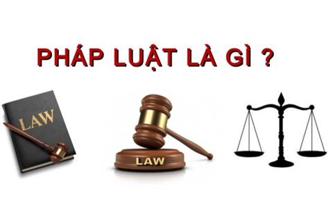 Pháp luật là gì? Nguồn gốc và đặc điểm của pháp luật