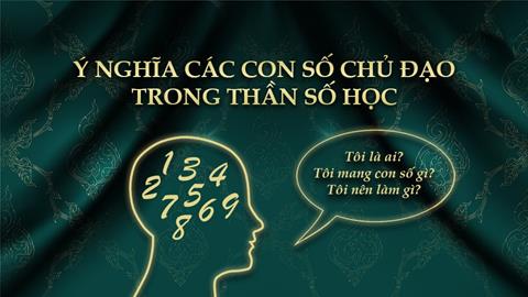 Thần số học là gì? Cách tra cứu & Ý nghĩa các con số chính xác