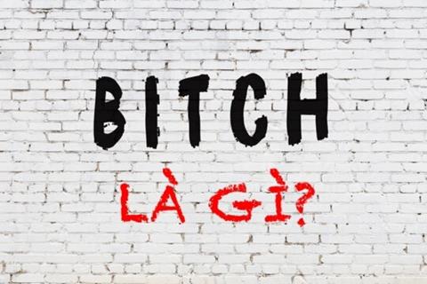 Bitch là gì? Nguồn gốc & ý nghĩa của từ Bitch trong đời sống