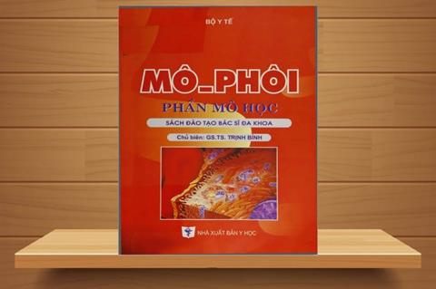 [Ebook] TẢI Sách Mô Phôi PDF Miễn Phí, Đọc Online (FULL)