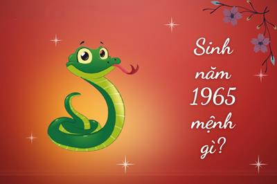 Sinh năm 1965 mệnh gì? Con rắn bao nhiêu tuổi và nó có màu gì?