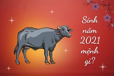 Sinh Năm 2021 Mệnh Gì? Tuổi Tân Sửu Hợp Tuổi nào & Màu gì?