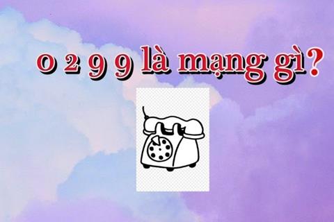 0299 là mạng gì? Đầu số 0299 có phải lừa đảo không?