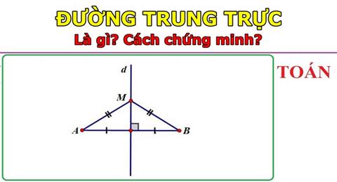 Đường trung trực là gì? Cách chứng minh đường trung trực đơn giản