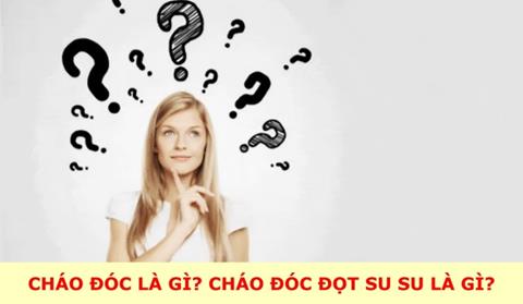 Cháo đóc, đọt su su là gì? Nghĩa đen, nghĩa bóng trên mạng xã hội