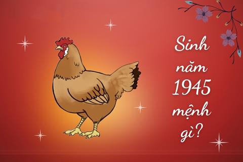 Sinh năm 1945 Mệnh gì? Tuổi Ất Dậu Hợp tuổi nào & Màu gì?