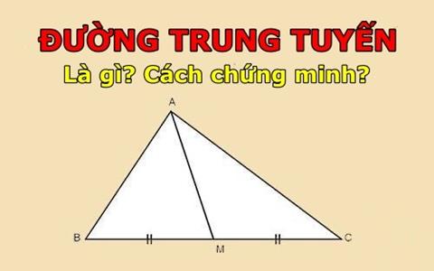 Đường trung tuyến là gì? Cách chứng minh đường trung tuyến