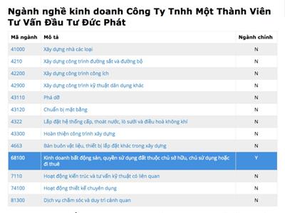 Chủ đầu tư dự án Đức Phát 3 là ai?