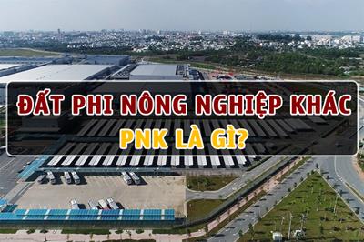 PNK là loại đất gì? Đất phi nông nghiệp khác là gì?