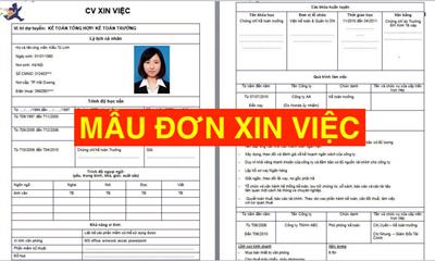 TẢI 19 Mẫu đơn xin việc "Ấn Tượng" Nhà Tuyển Dụng (MỚI CHUẨN 2024)