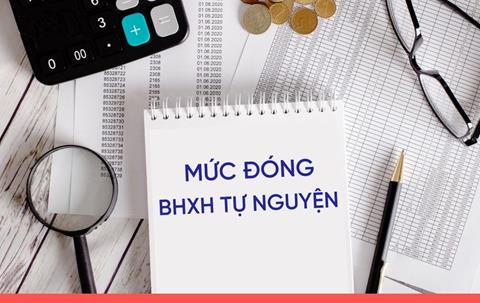 [Năm 2024] Mức đóng bảo hiểm xã hội tự nguyện bao nhiêu?