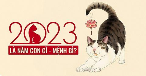 Năm 2023 là năm con gì? Mệnh gì? Tuổi Quý Mão hợp Tuổi nào?