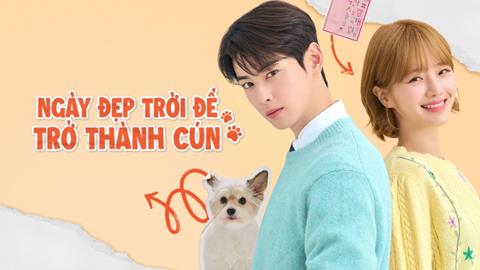 Xem Phim Ngày Đẹp Trời Để Trở Thành Cún Tập 9,10,11 (FULL 14 Tập)