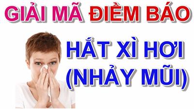 Hắt hơi 1, 2, 3 lần trong một giờ có nghĩa là gì?