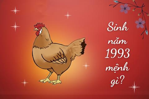 Sinh năm 1993 mệnh gì? Tuổi Quý Dậu hợp tuổi nào & Màu gì?